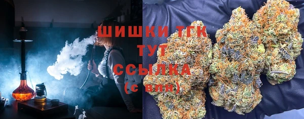 винт Белокуриха