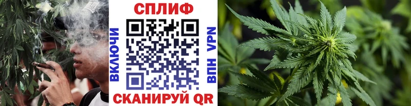 Бошки марихуана конопля Вятские Поляны